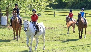 Students ride in a pasture at El Gezira Riding Academy on April 8. (For the Reporter/Dawn Harrison)