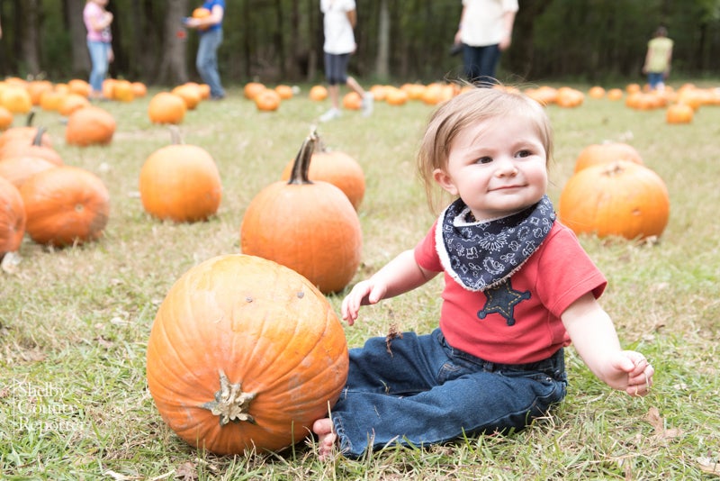 Fall on the farm: Griffin Farms pumpkin patch attracts thousands ...