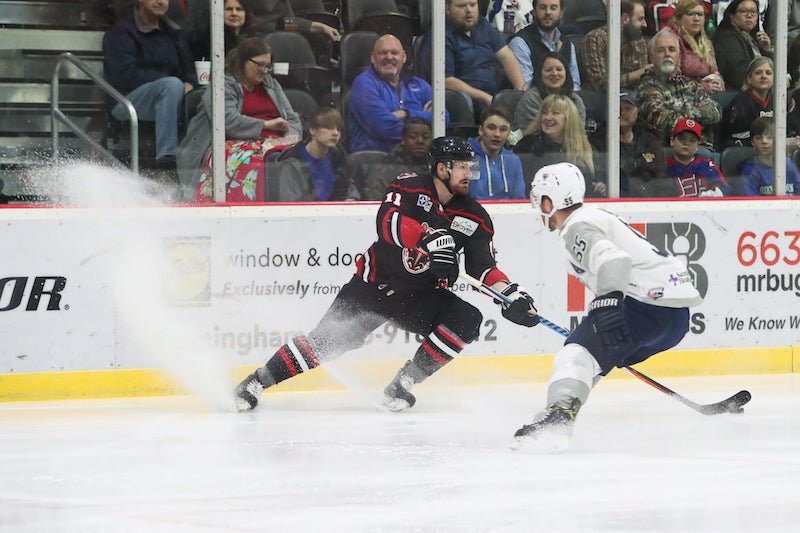Birmingham Bulls sell out arena in win against Pensacola Ice Flyers -  Shelby County Reporter
