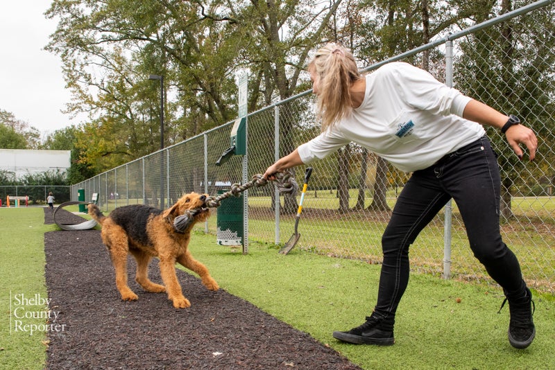 Tuscaloosa Bark In The Park