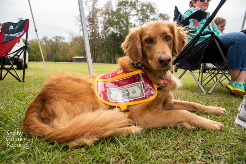 Humane Society hosts 'Bark in The Park' this weekend 