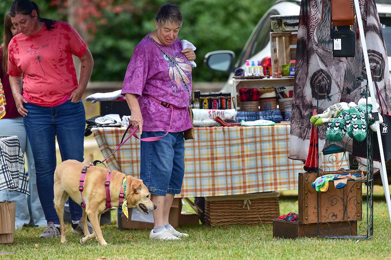 Bark at the Park 2022 - Eventeny